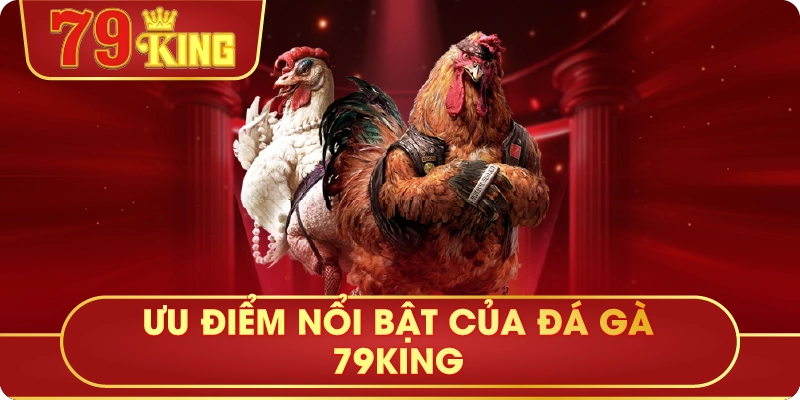 Ưu Điểm Nổi Bật Của Đá Gà 79King